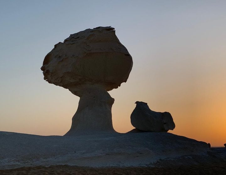 white desert Egypt tour