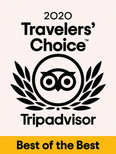2020 travelers' choice tripadvisor best of the best
