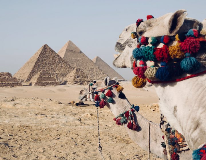 Tips for Tourists in Egypt