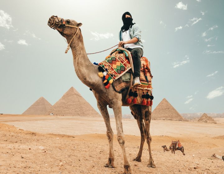 Pyramid tour in egypt