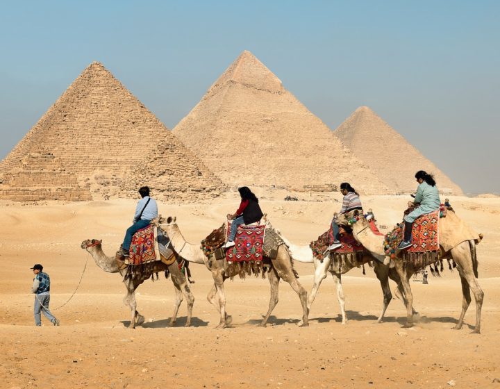 Discover Egypt Tours