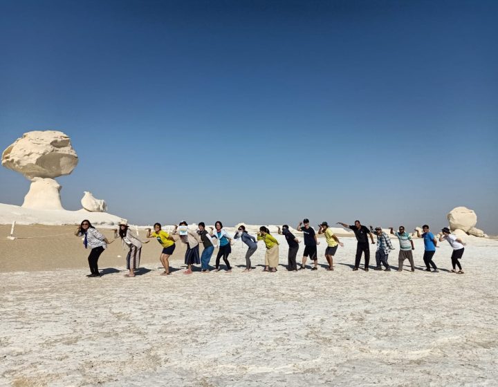 Bahariya Oasis Tours