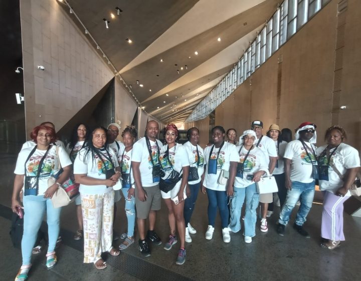 Grand Egyptian Museum Day Tour