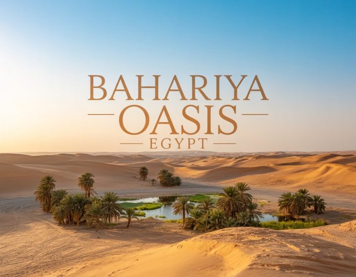 Bahariya Oasis Egypt
